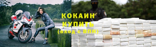 шишки Белоозёрский