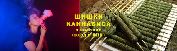 стафф Богородск