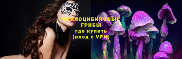 кристаллы Белокуриха