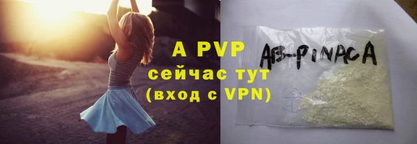 шишки Белоозёрский