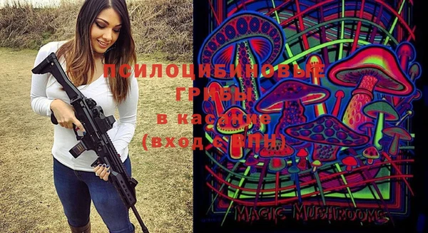 шишки Белоозёрский