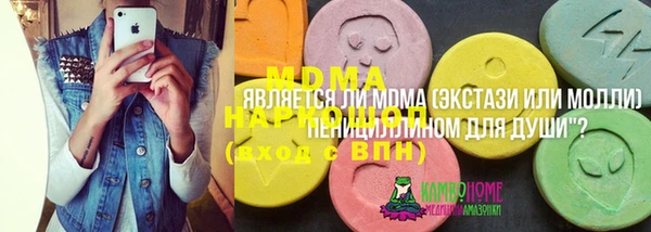 шишки Белоозёрский