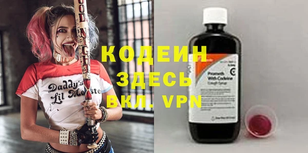 шишки Белоозёрский